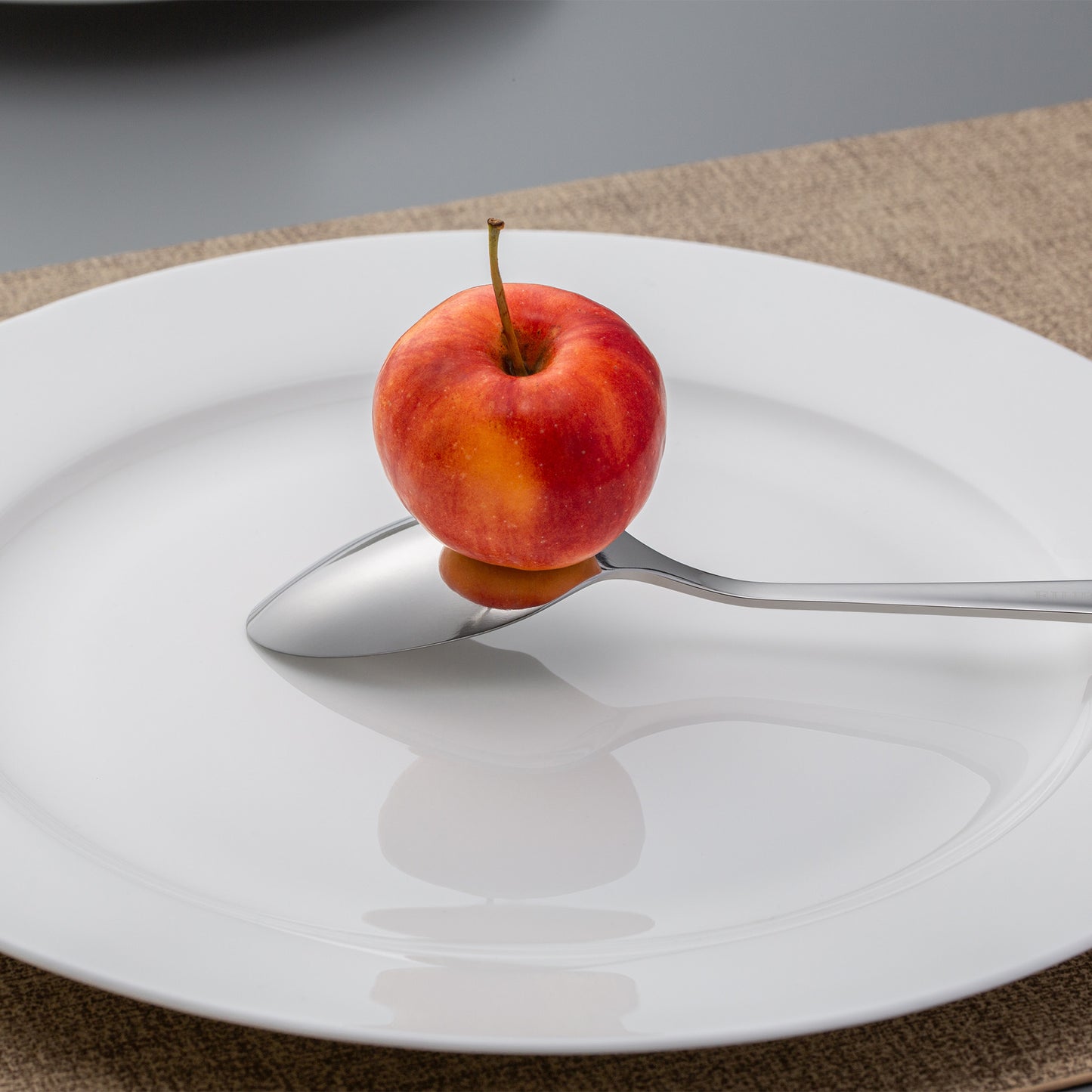 KH2000 Mirrored Big Spoon