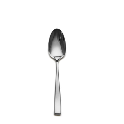 Slanted Mirror-Polish Big Spoon