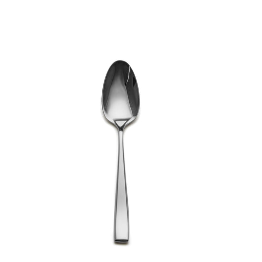Slanted Mirror-Polish Big Spoon