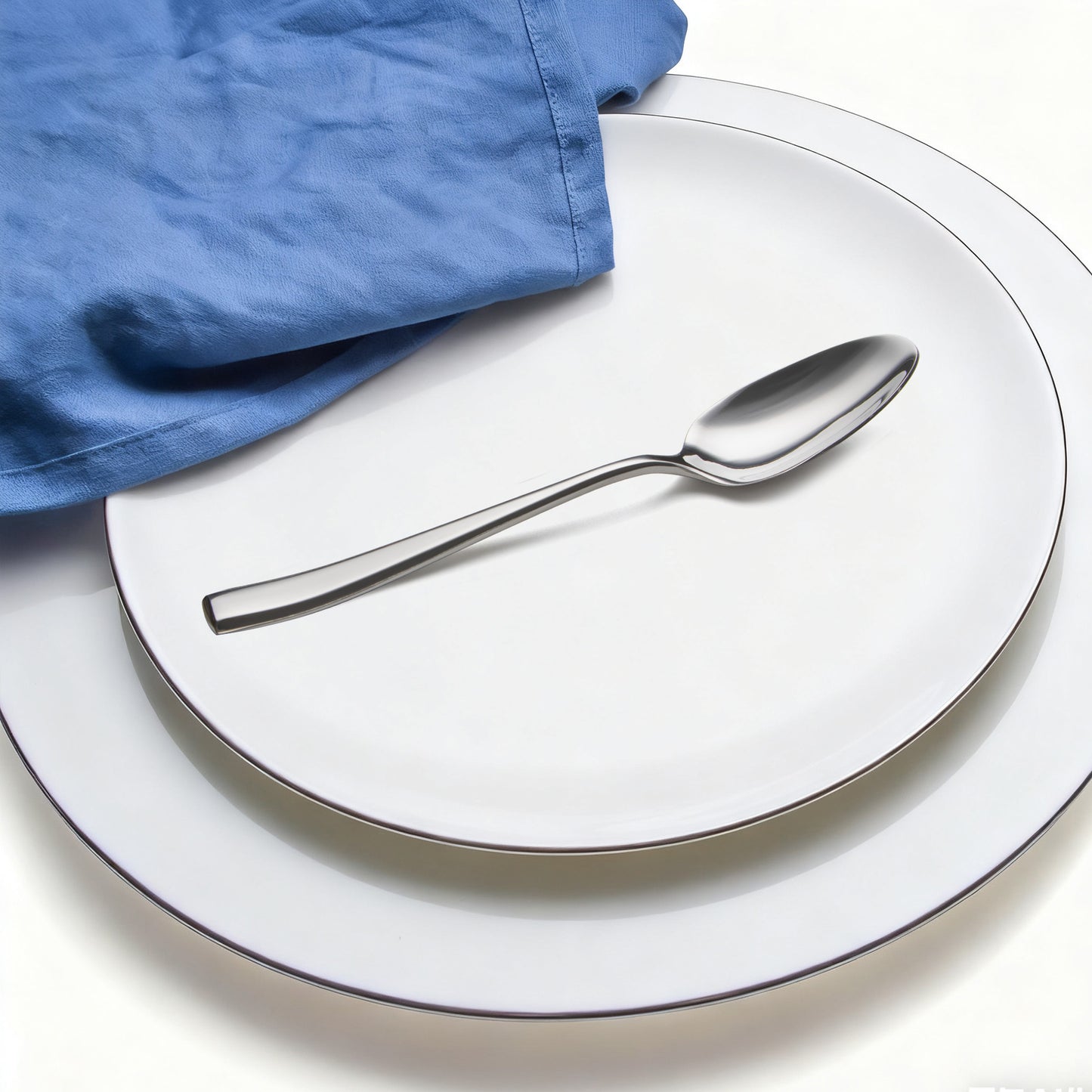 Slanted Mirror-Polish Big Spoon